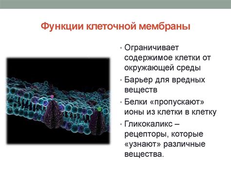 Клеточная дегенерация