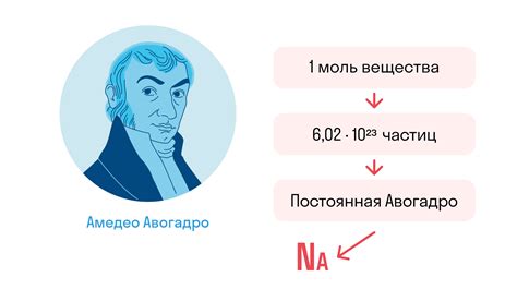 Ключевое понятие в химии: сущность и значение относительной молярной массы