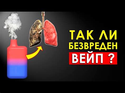 Ключевые ингредиенты и их роль