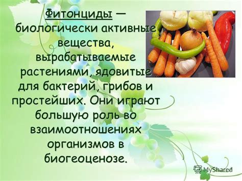 Комбинация сельдерея и грибов: фитонциды против микроэлементов