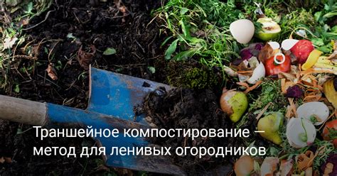 Компостирование для повышения полезности