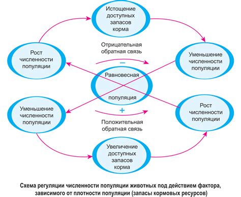 Контроль численности популяции: вызовы современного мира