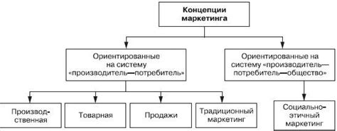 Концепции продвижения и маркетинга товаров и услуг компании Эссенс