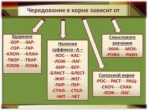 Корни и их роль в словах