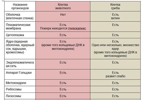 Крещеный и язычник: различия и сходства