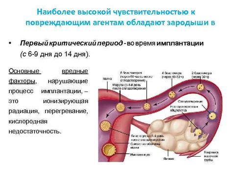 Критический период заболевания