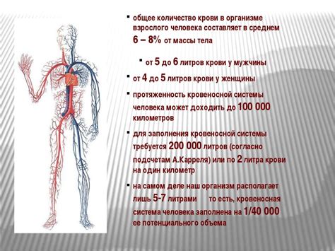 Кровь и общее состояние