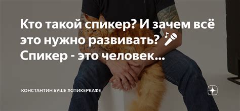 Кто такой спикер