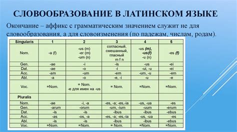 Лексический аспект латышского и литовского языков: сходства и различия