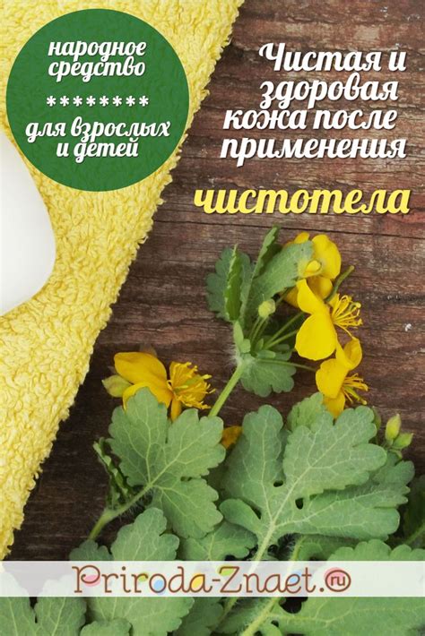 Лечение кожных заболеваний с помощью этанола: уникальные преимущества и варианты применения