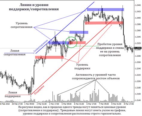 Линия отращивания и уровень обслуживания