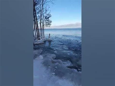 Лукоморье как символ природы