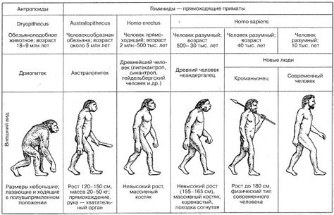 Магические превращения: эволюция внешнего облика и функций поросли