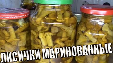 Маринование лисичек