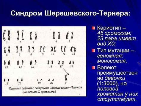 Медицинские исследования о влиянии половых хромосом на развитие ребенка