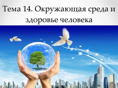 Медицинские исследования о воздействии окружающей среды на здоровье Жанны Фриске: научный анализ