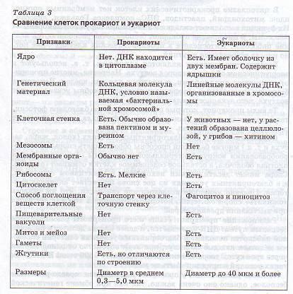 Медицинское значение ориентации на Земле