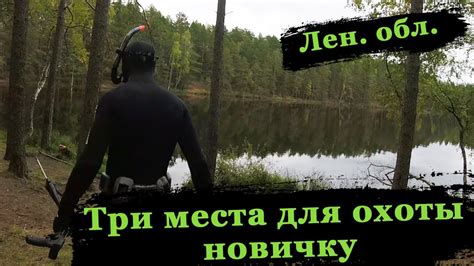 Места для охоты в городе