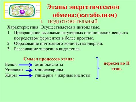 Метаболизм и тепловые реакции: