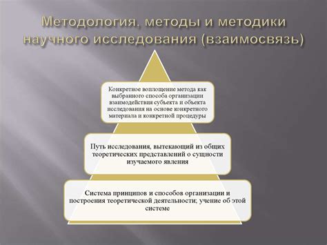 Методология исследования влияния соседства моркови и редиса