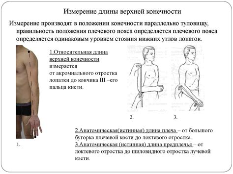 Методы измерения длины верхней конечности