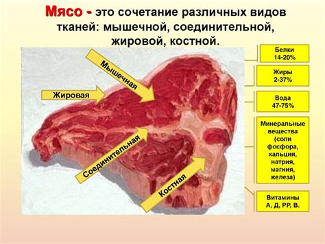 Методы обработки мяса для безопасного употребления