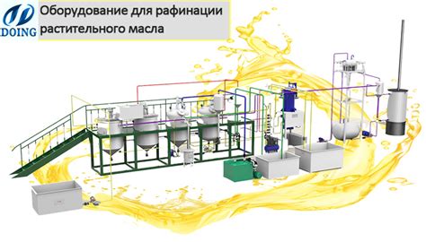 Методы подготовки оливок к изготовлению масла