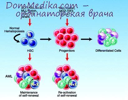 Методы профилактики и контроля опухолей