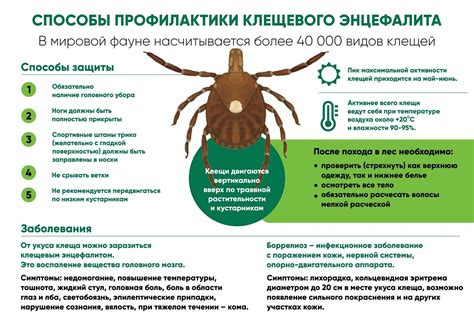 Методы профилактики клещевого энцефалита