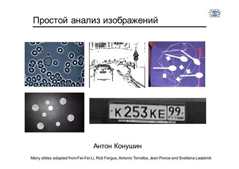 Методы распознавания кедра