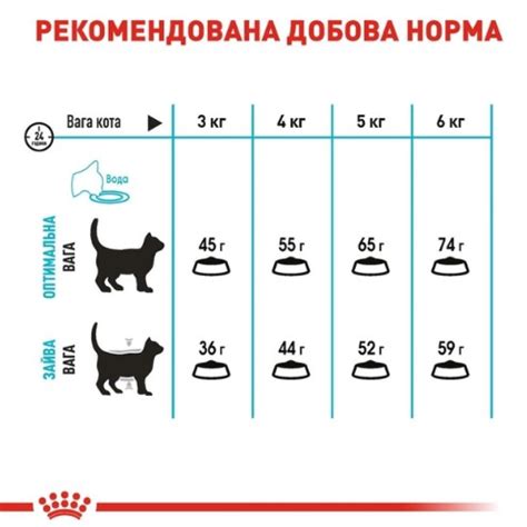 Методы сохранения здоровья мочевых путей у котов: варианты без операции