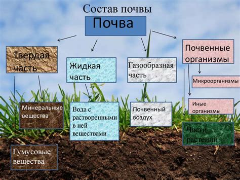 Методы утепления почвы и кустов