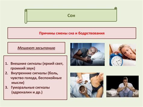 Механизмы влияния взгляда на сон