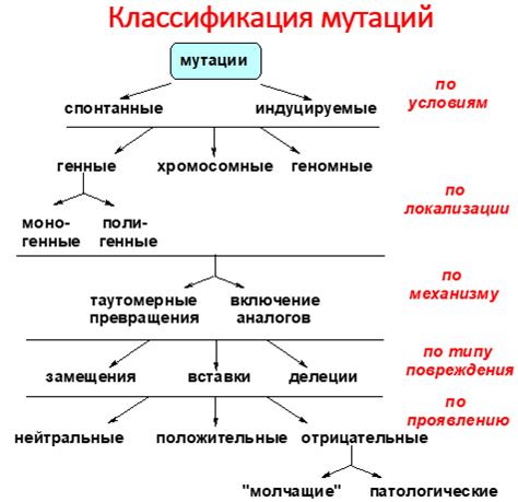 Механизмы генетической изменчивости