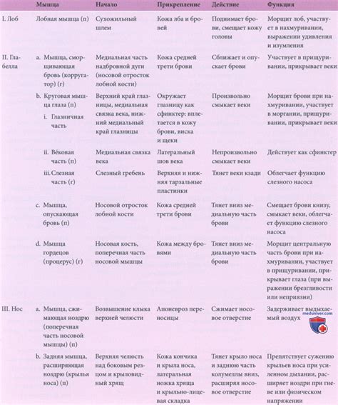 Механизмы действия супрастина и тавегила: глубокое понимание