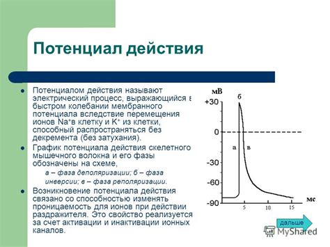 Механизмы действия удильщика