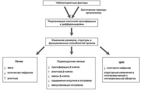 Механизмы задержки переводов