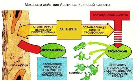 Механизм действия аспирина