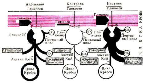 Механизм действия джойстика: детальное объяснение