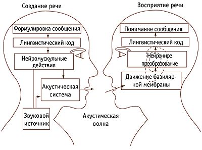 Механизм образования памяти