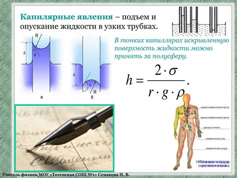 Механизм поднятия жидкости через соломинку