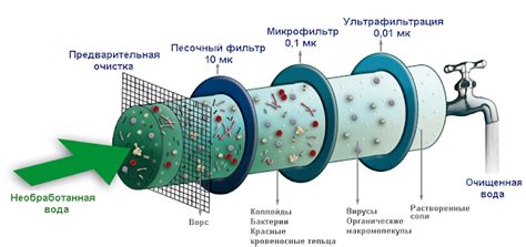 Механическая очистка опарыша: инструменты и методы