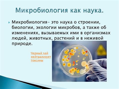 Микология в биологии