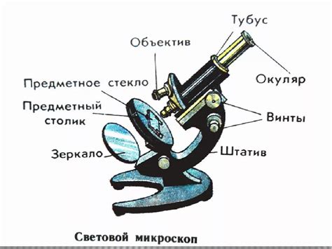 Микроскоп: устройство и принцип работы