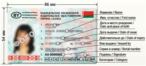 Минусы бессрочных прав в Беларуси