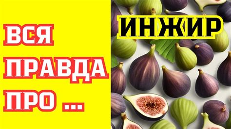 Мифы и правда: эффективность мытья инжира для предотвращения возможных проблем