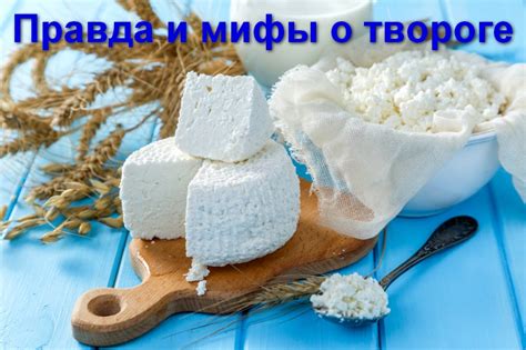 Мифы и правда о просроченном твороге