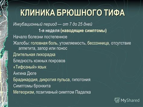 Мифы о распространении брюшного тифа