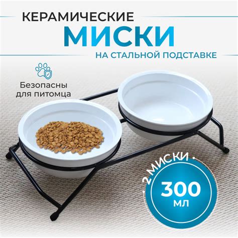 Миф 5: Плоскостопие из-за кормления кормом для кошек