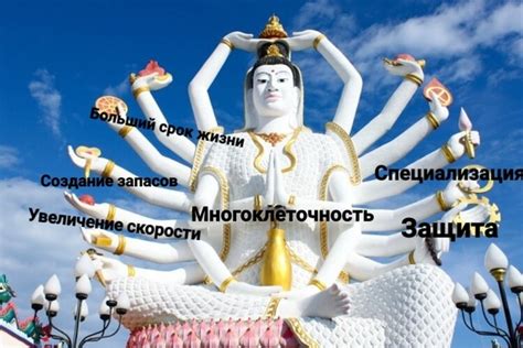 Многоклеточность и устройство тела